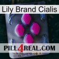 Lily Brand Cialis 02